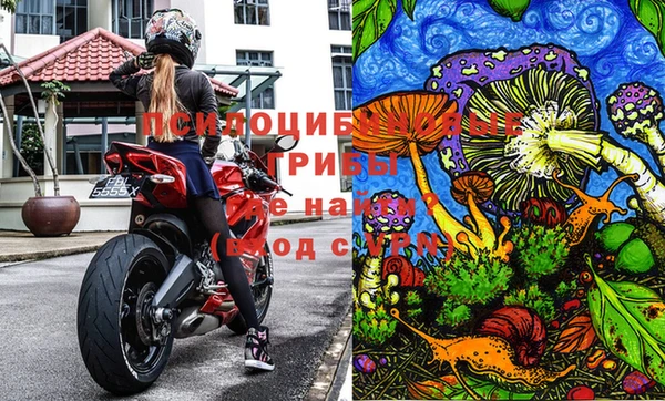 spice Володарск